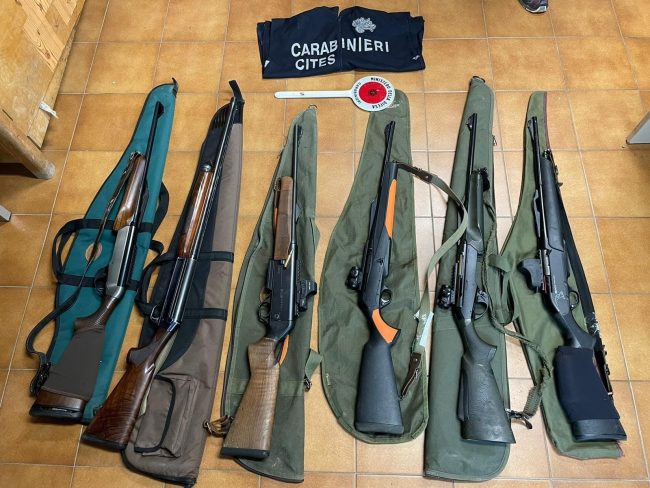 Operazione anti bracconaggio a Cammarata, 13 denunce: sequestrati 8 fucili e 2 cinghiali uccisi