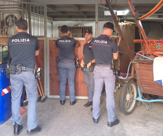 Aveva un cavallo in garage ad Aci Castello, 42enne denunciato e sanzionato per 9mila euro
