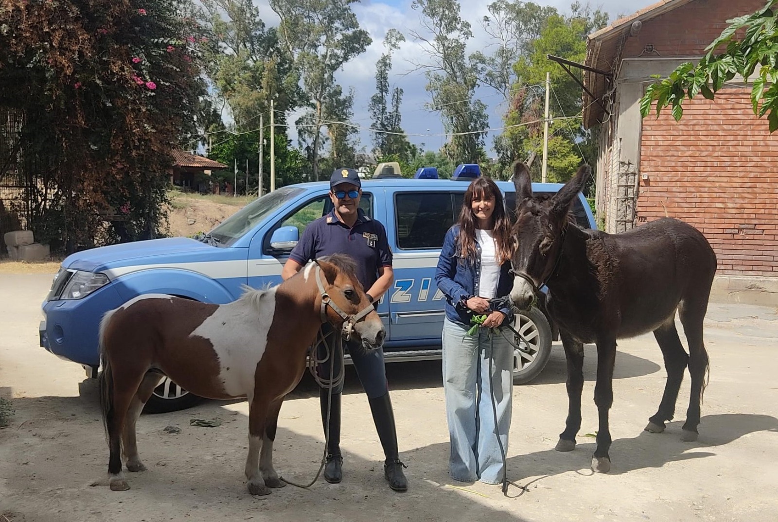 Catania, salvati un pony e un’asina poco prima della macellazione