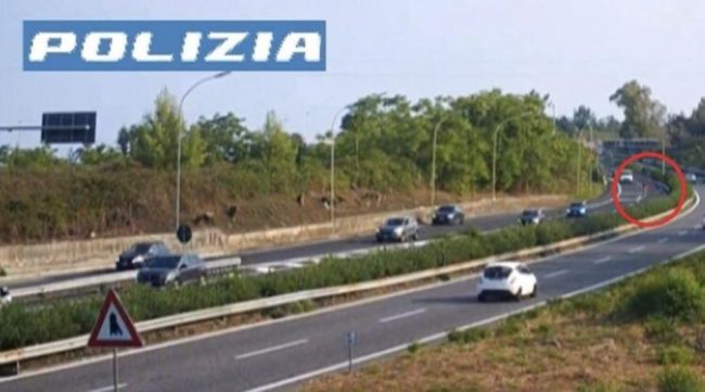Salvato anziano che vagava in stato confusionale sulla Catania-Messina – VIDEO