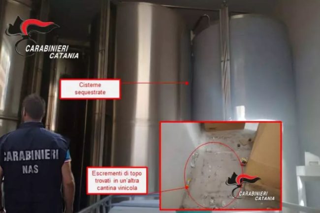 Vino in mezzo agli escrementi di topo: chiusa una cantina e maxi sequestro dei Nas nel Catanese