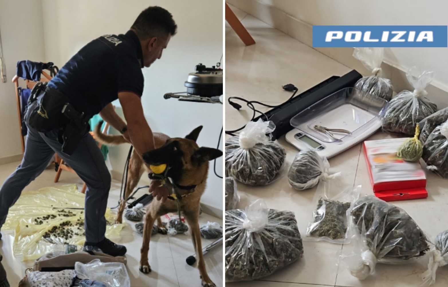 Catania, coltivavano marijuana e ne tenevano oltre un chilo a casa: arrestata “strana” coppia