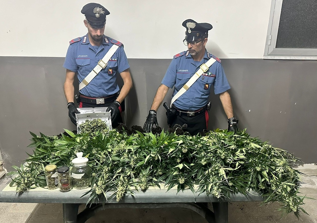 Nascondeva una serra di marijuana in casa: ai domiciliari 49enne nel Messinese