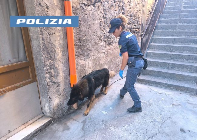 Nasconde la droga nel garage ma “Maui” la fiuta: denunciato pusher catanese