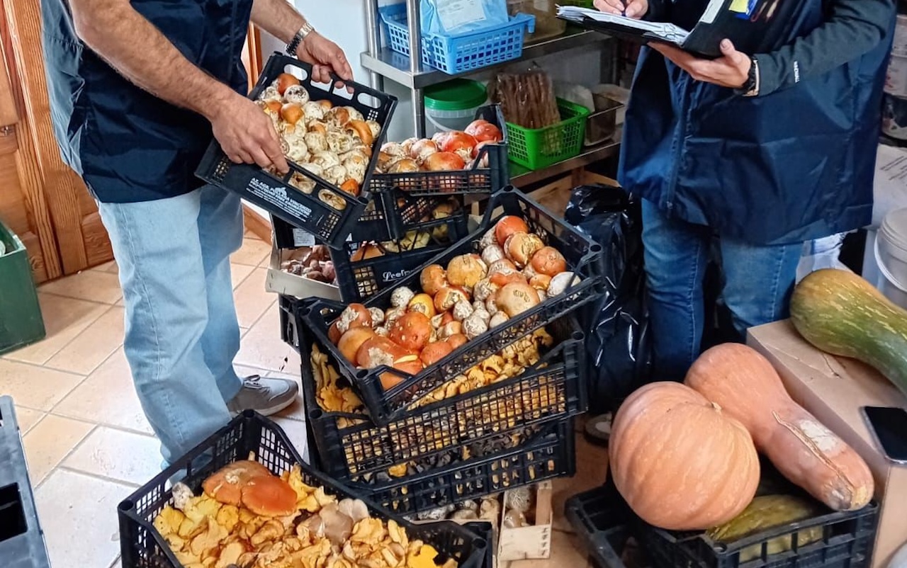 Sequestrati generi alimentari, vino e funghi porcini: nel mirino ristoranti, cantine e aziende vitivinicole di Palermo e Trapani