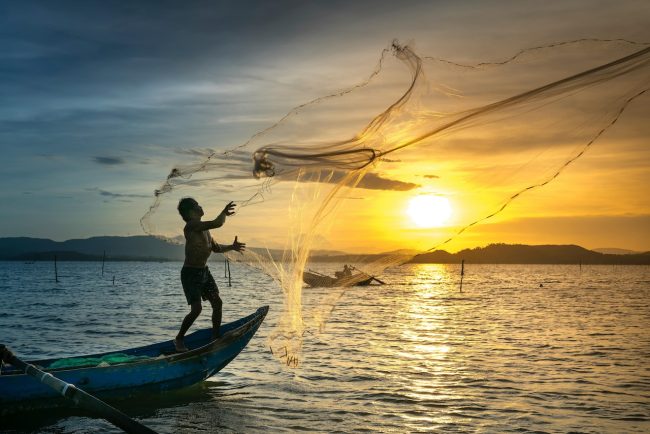 Pesca, tre milioni di euro per progetti di acquacoltura sostenibile