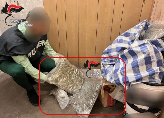 Colpo allo spaccio di droga a Catania, arrestato pusher con 5 kg di skunk