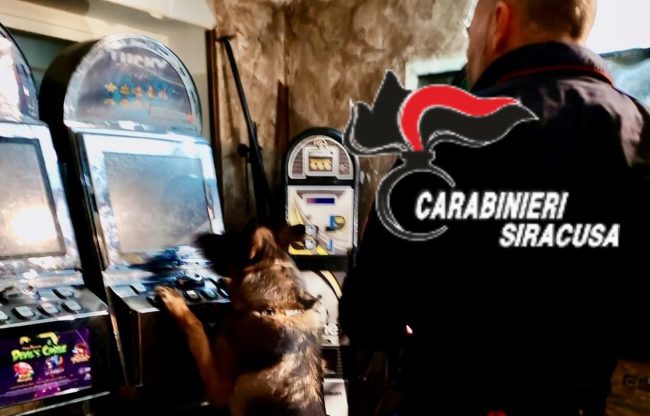 Spaccio a Buccheri, l’infallibile fiuto del cane Riley