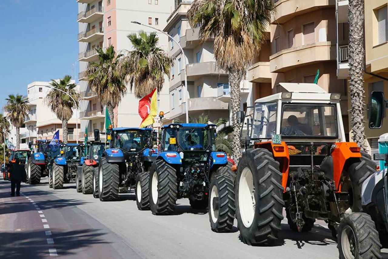 Sostegni economici a viticoltori e agricoltori: 25 milioni di euro per danni Peronospora