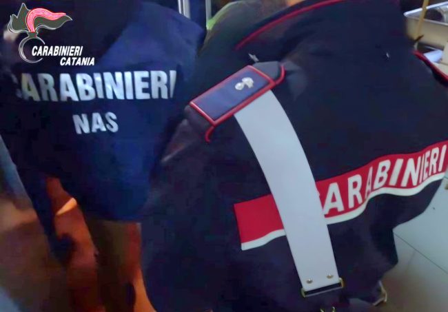 Scarafaggi e sporco incrostato in un bar di Catania, scatta il sequestro