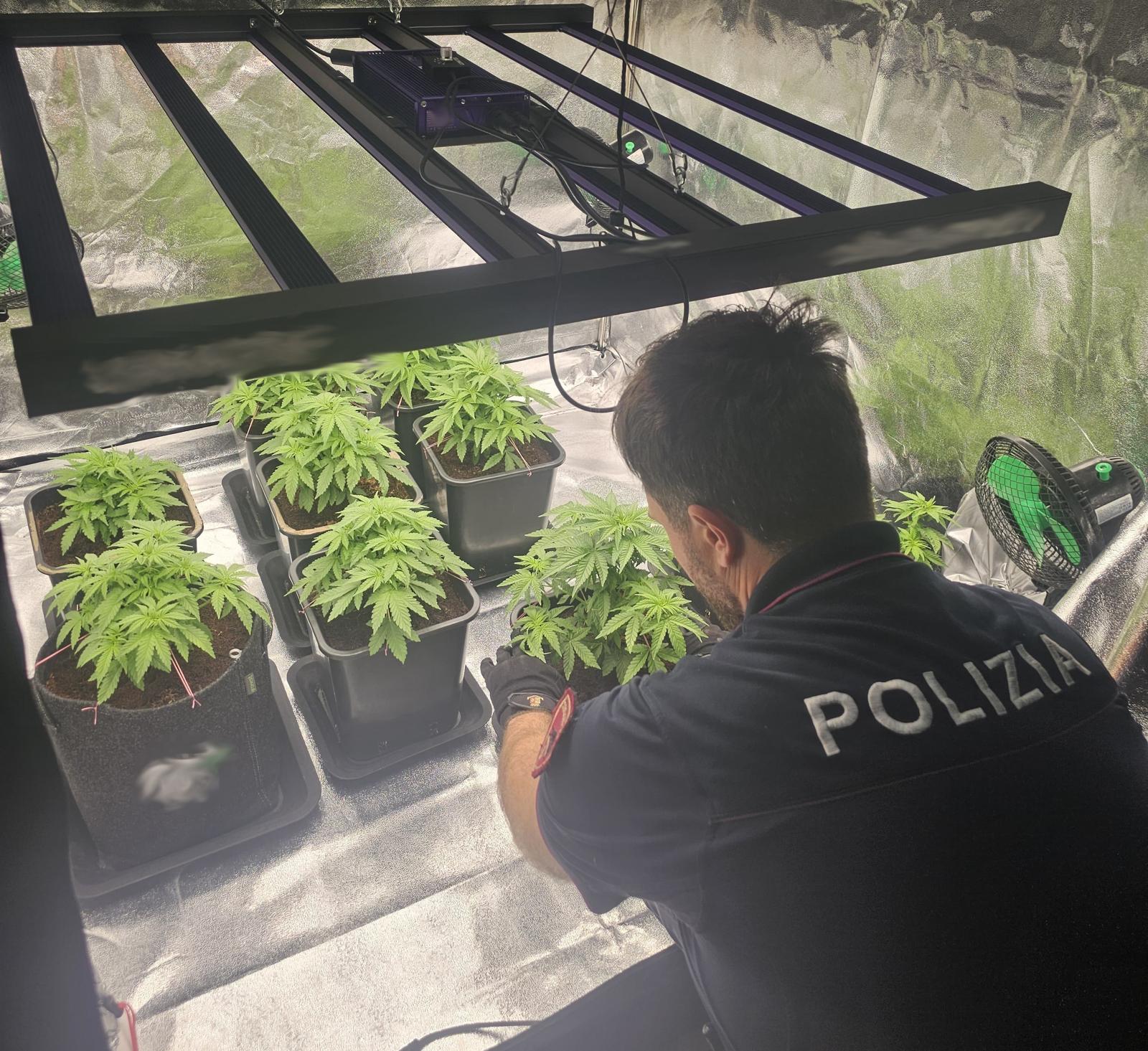 Coltivazione e spaccio a conduzione familiare