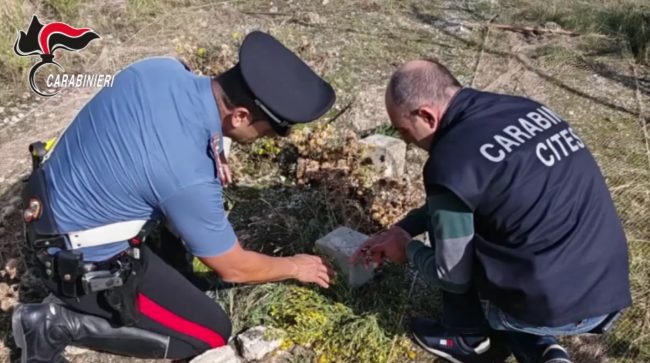 Scoperta attività di bracconaggio nel Messinese. Caccia con mezzi vietati e maltrattamento di animali – VIDEO