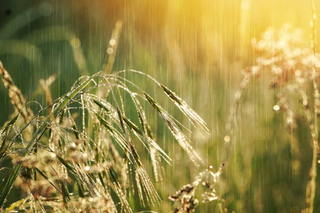 Meteo Sicilia, le PREVISIONI per domani