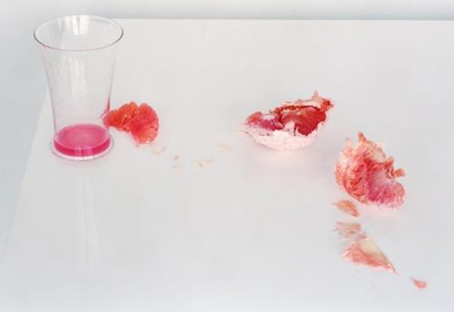 “La vegetariana” di Han Kang