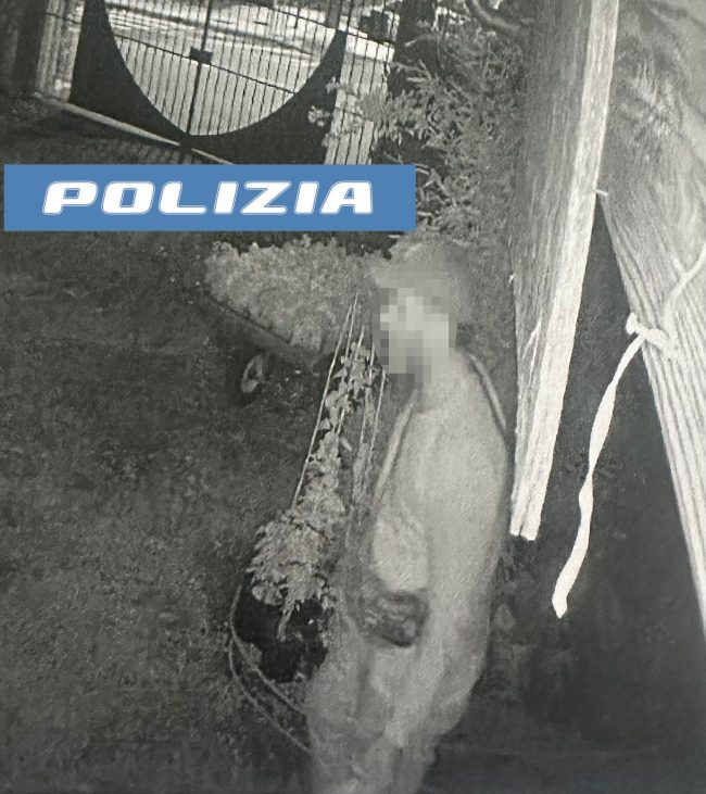 Denunciato a Catania un ladro di miele