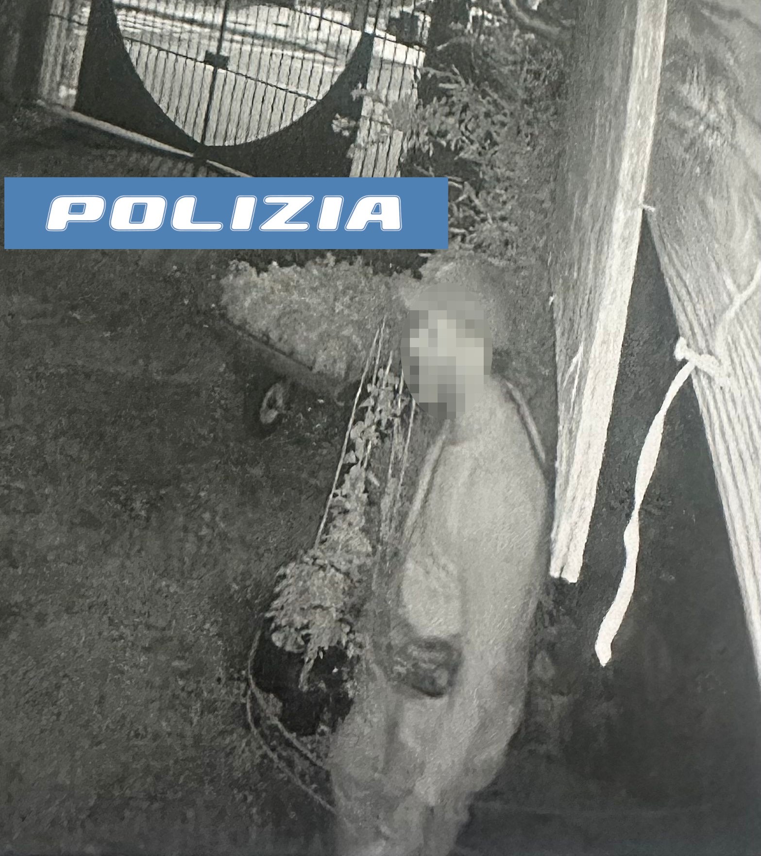 Denunciato a Catania un ladro di miele