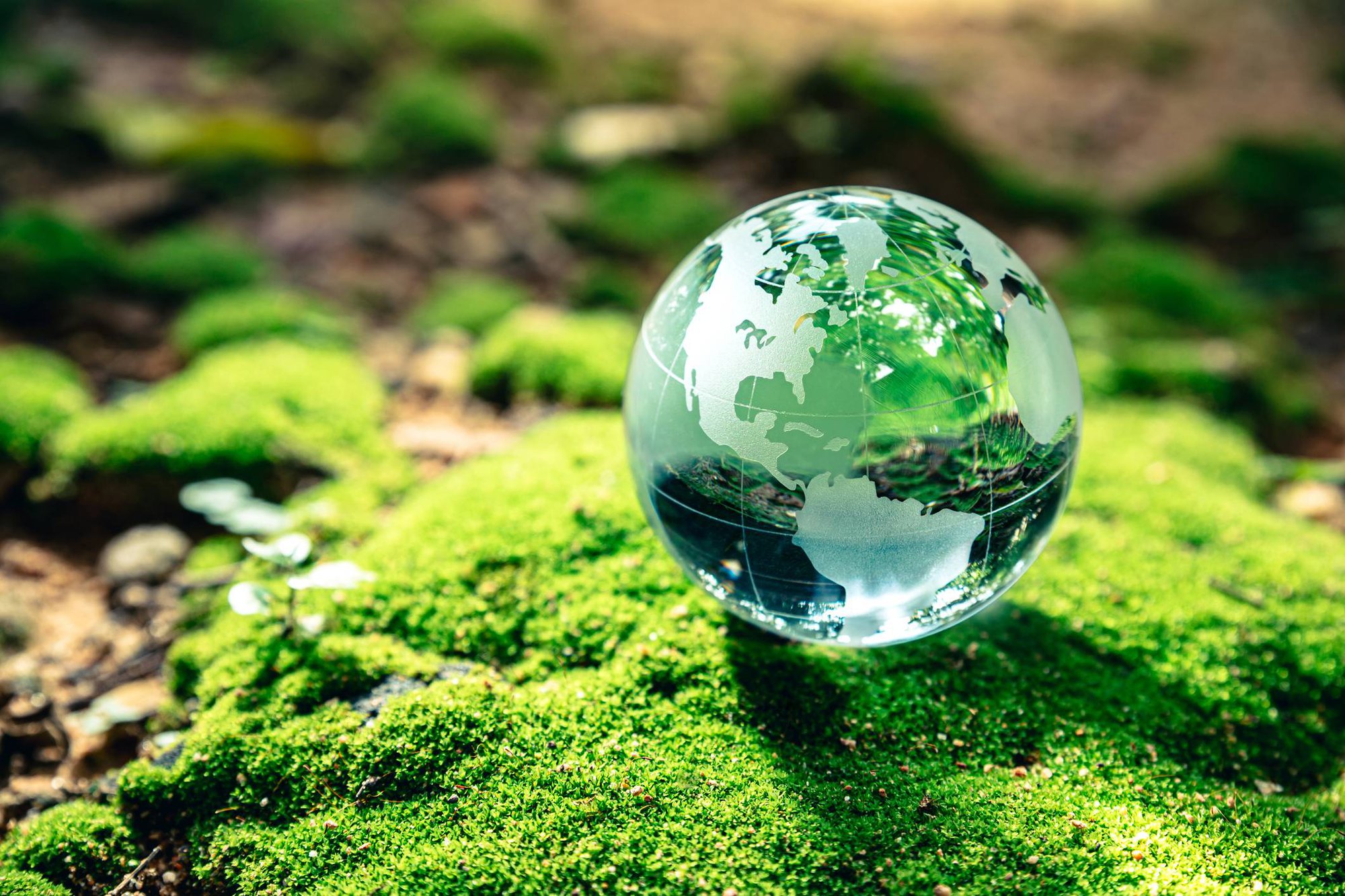 Un anno di ambiente, tra cambiamenti climatici, emergenza idrica e siccità