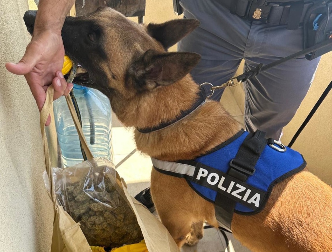 Catania, trovato un chilo e mezzo di droga nascosta in uno scantinato