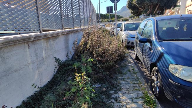 Degrado e mancanza di sicurezza: la “brutta” fotografia di un lettore del quartiere San Lorenzo di Palermo