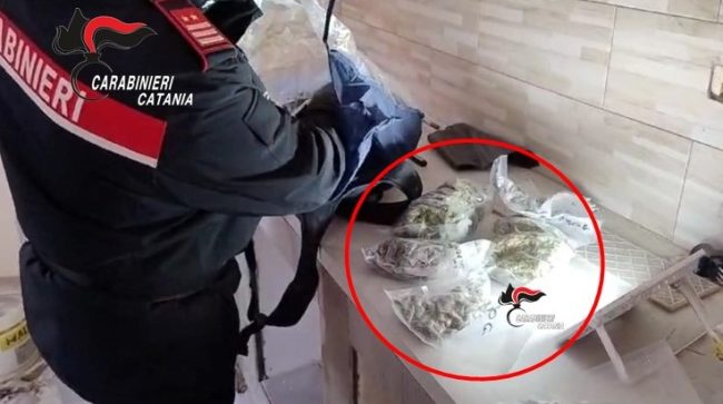 Arrestato muratore a Giarre: nascondeva marijuana in una casa in ristrutturazione