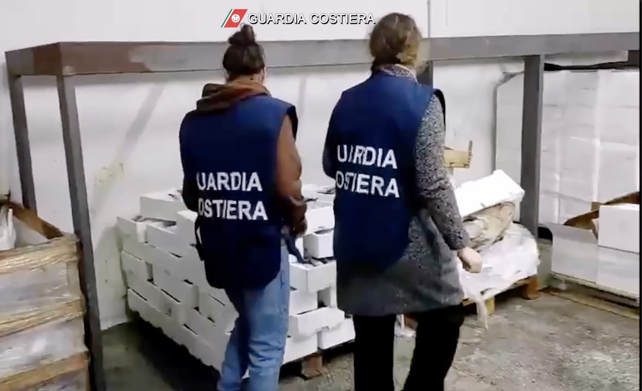 Operazione “E-Fishing”, controlli Guardia Costiera tra Catania, Messina e Siracusa