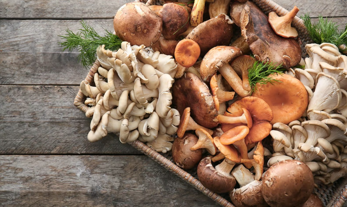 Cinque piatti a base di funghi perfetti da cucinare in autunno