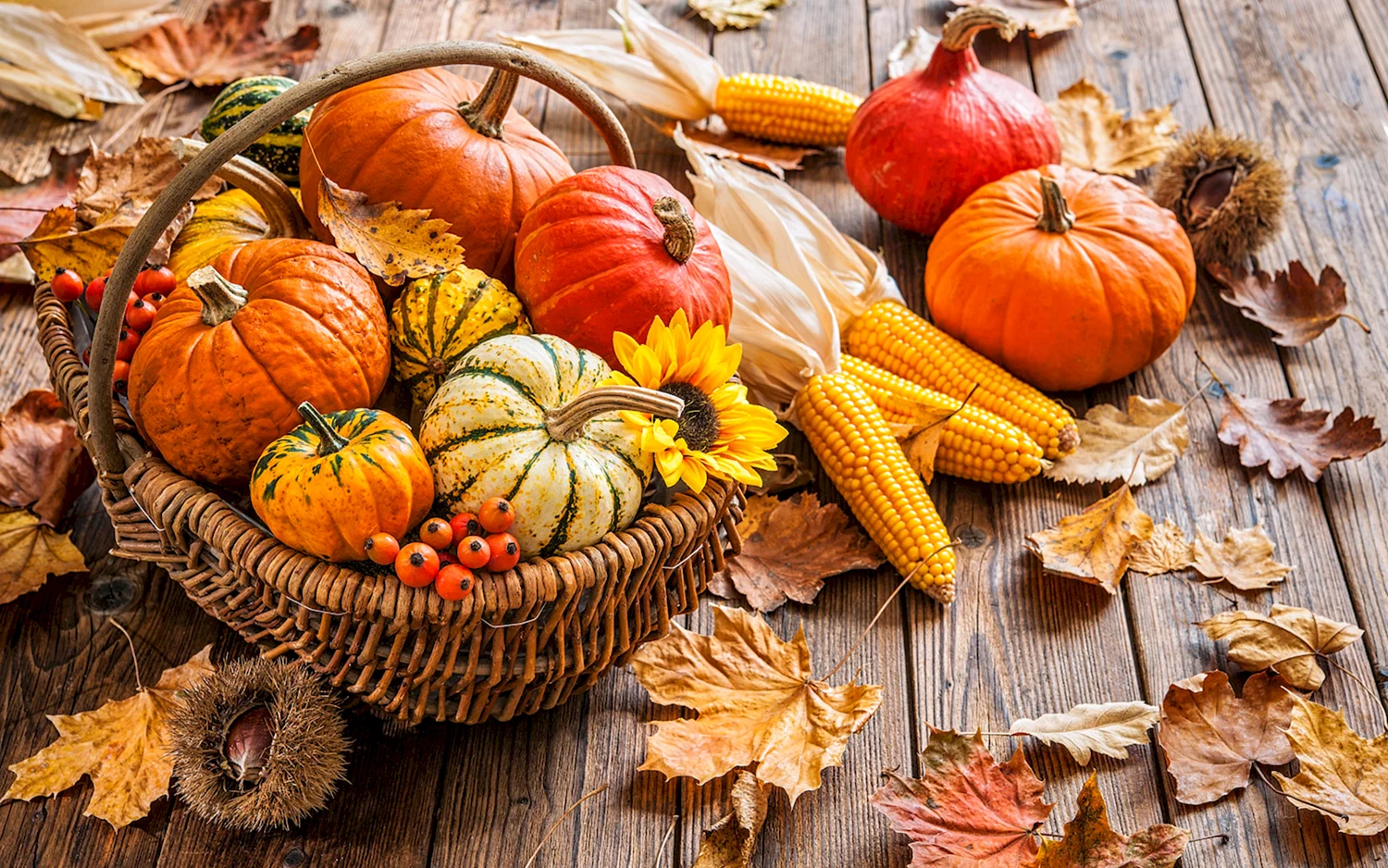 Alcuni ricette con la zucca ottime da preparare in autunno