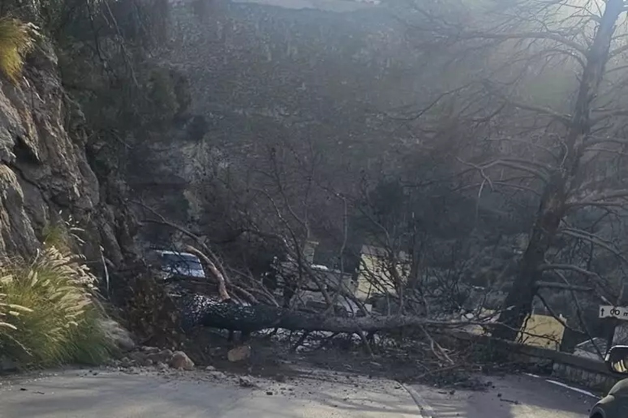 Pioggia e forte vento a Palermo: alberi caduti, pali pericolanti e tettoia di 4 metri messa in sicurezza