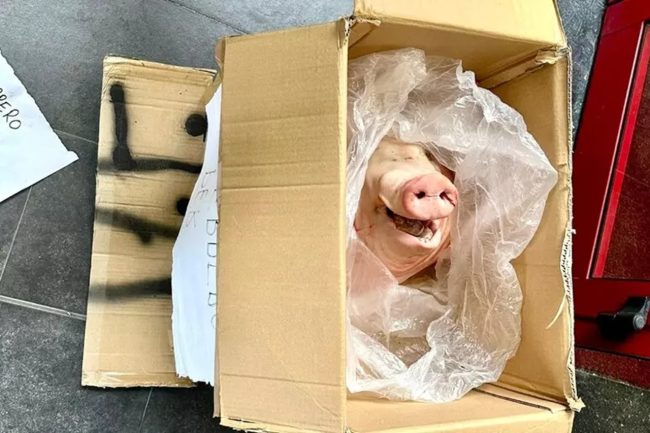 Rapine, furti in abitazione ed estorsioni con metodo mafioso: 5 arresti tra Palermo e Brescia