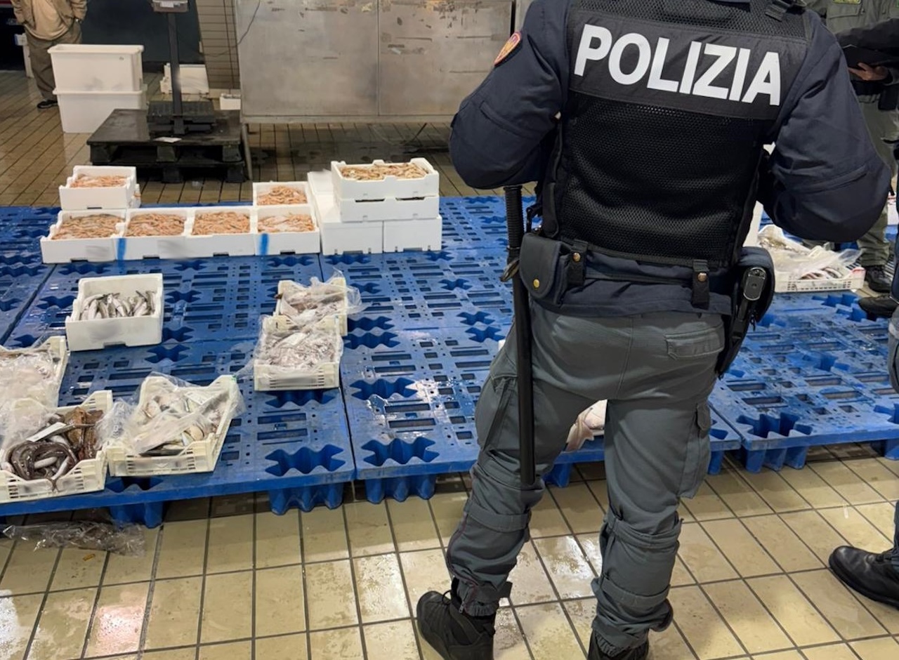 Blitz al mercato del pesce di Acitrezza: sequestrati 170 chili di prodotti ittici