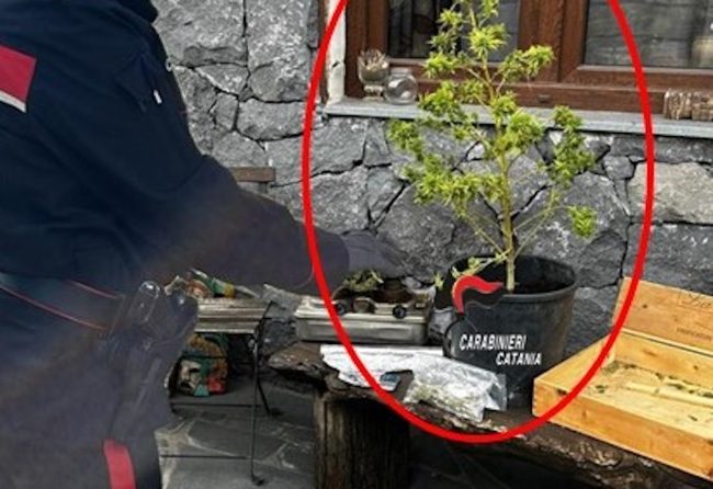 Scoperta villetta della droga a Pedara