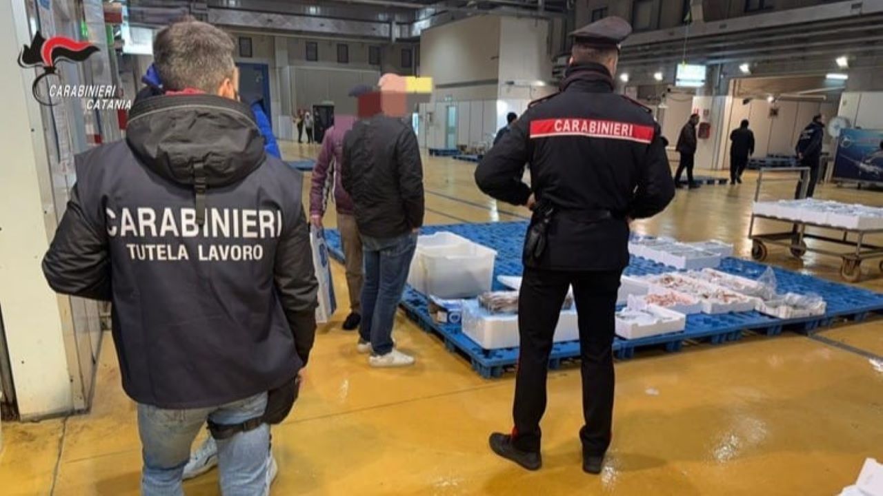 Controlli ai MAAS catanesi, pesce non tracciato e lavoratori in nero