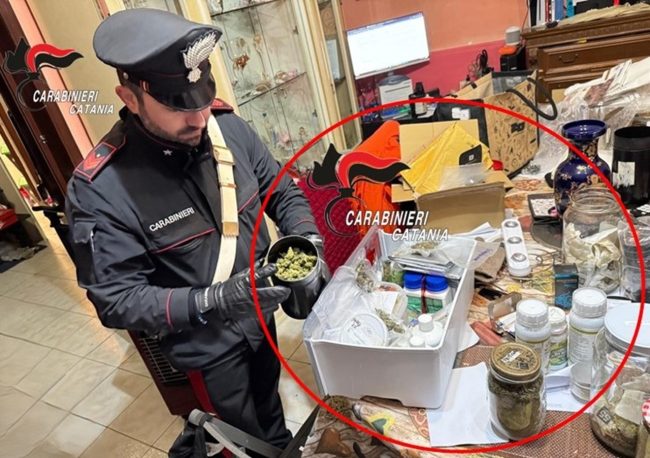Produceva in casa la marijuana da vendere: in manette pregiudicato 42enne