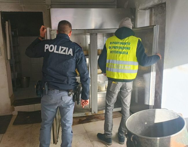 Catania, rilevata attività di macellazione abusiva e trovati due cavalli non censiti