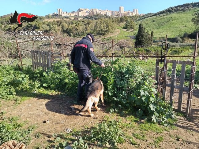 Spaccio ad Agrigento, finisce in manette 58enne