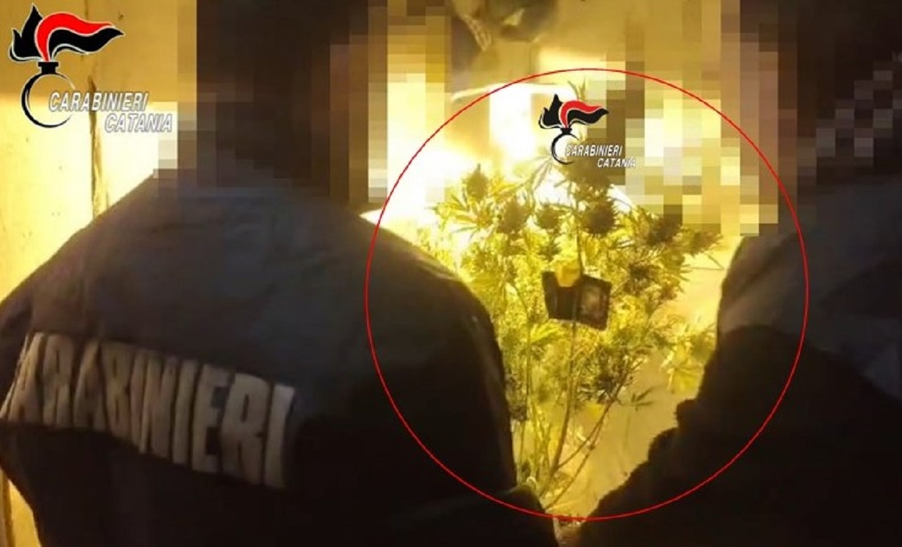 Scoperta serra artigianale di droga a Mascalucia, arrestato 38enne