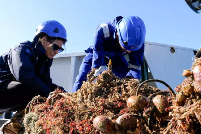 Ispezione del fondale marino nel Siracusano: rinvenute oltre 30 reti abbandonate