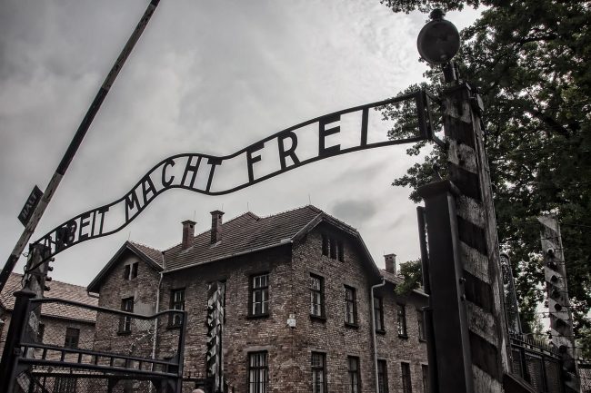Ricorre oggi il Giorno della Memoria: 80 anni dalla liberazione di Auschwitz