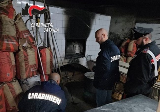Chiuso panificio abusivo ad Acireale: blatte e insetti tra pane e scacciate