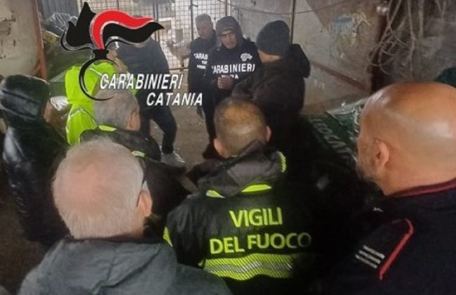 Allevamento “da incubo” nel Catanese: liquami e carcasse di animali