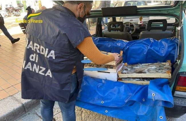 Sequestrate oltre 8 tonnellate di pesce non tracciato, multato il titolare