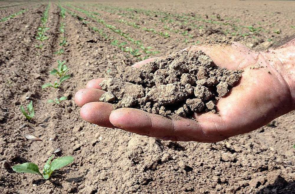 Siccità in Sicilia, sindaci agrigentini chiedono vertice urgente per Lago Arancio