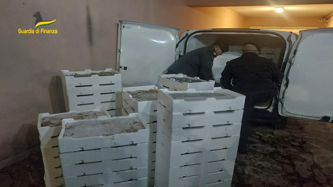 Sequestrati oltre 800 kg di pesce privo di tracciabilità nel Palermitano