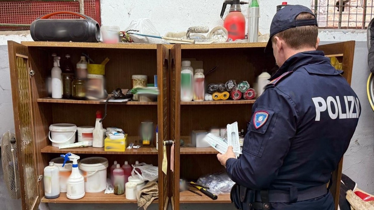 Catania, sequestrate stalle abusive e cavalli destinati a corse clandestine