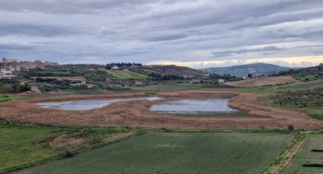 Giornata mondiale delle zone umide, focus del WWF sul lago Soprano di Serradifalco