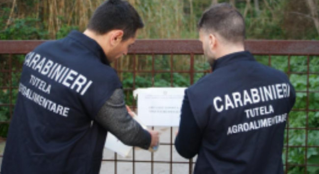 Frodi nel comparto agricolo, confiscati beni per 45mila euro nel Nisseno