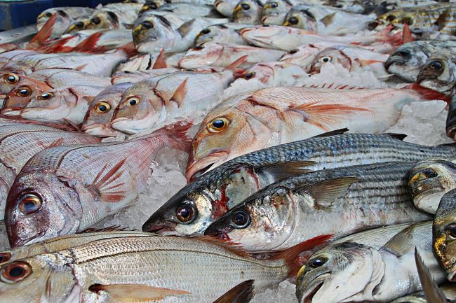 Sequestrati 2,7 Kg di pesce privo di tracciabilità tra Palermo e Porticello
