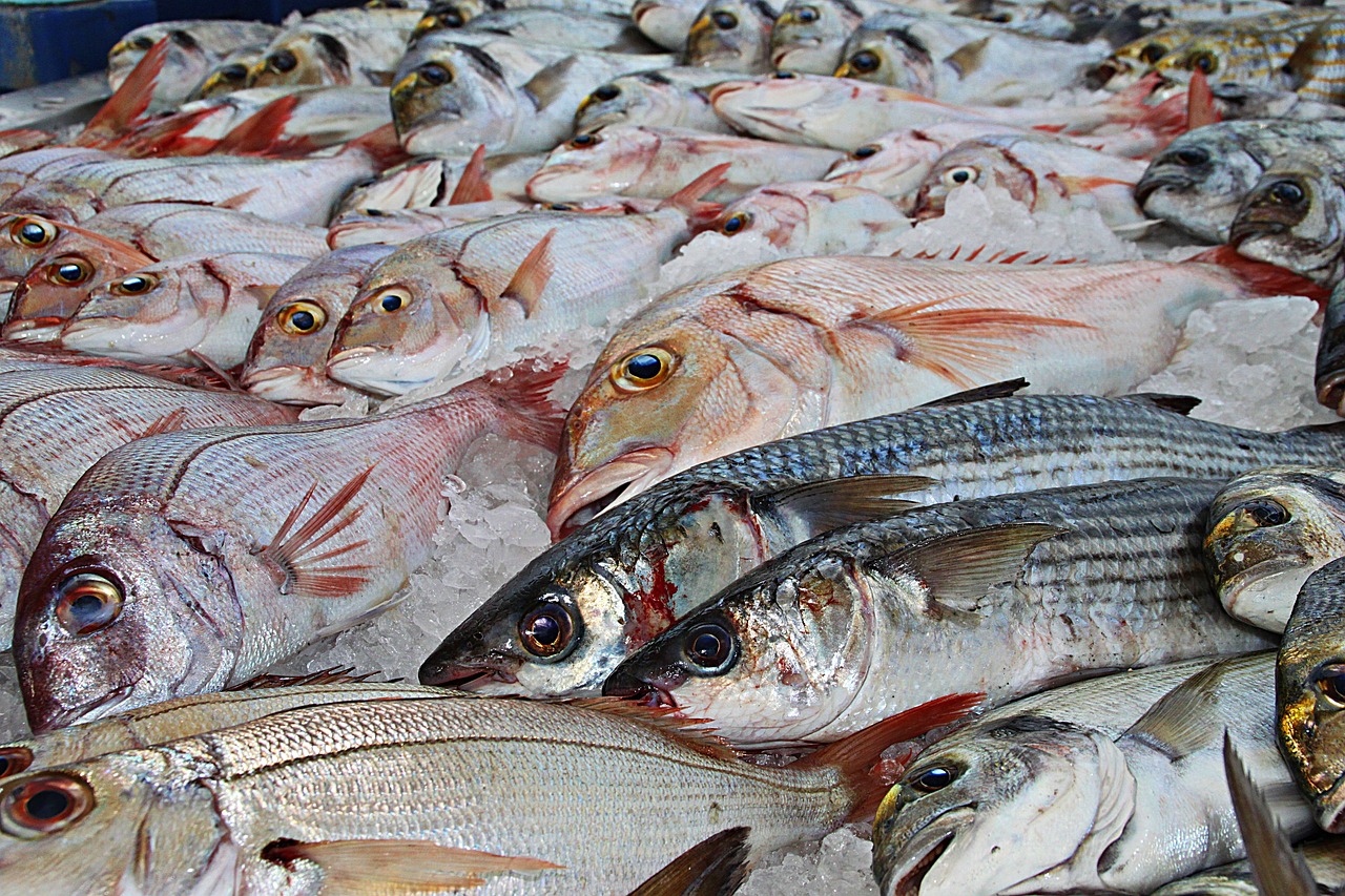 Sequestrati 2,7 Kg di pesce privo di tracciabilità tra Palermo e Porticello