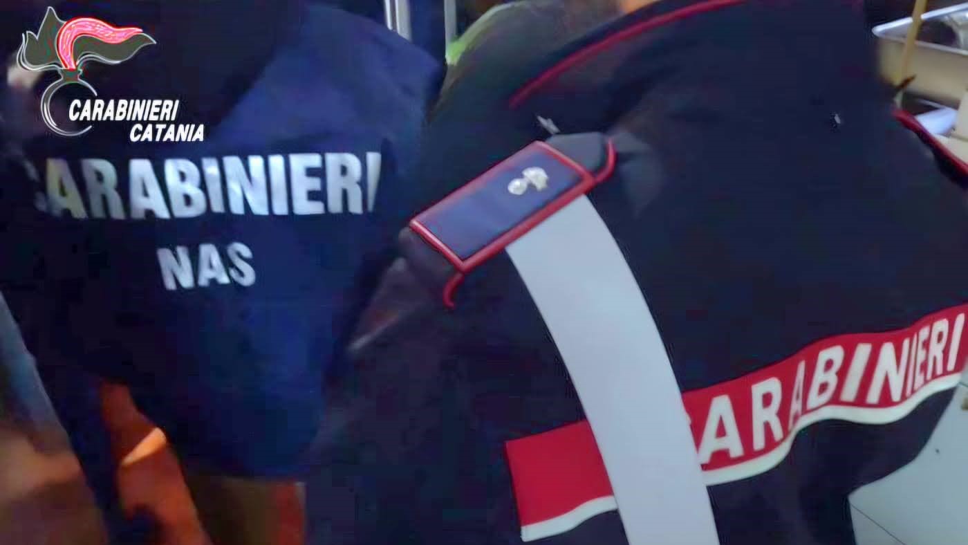 Insetti vivi e cicche di sigarette in un bar-ristorante di Catania