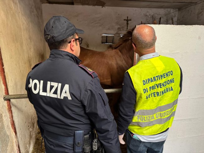 Blitz a San Cristoforo, sequestrati 20 kg di alimenti non tracciati e scoperte due stalle abusive